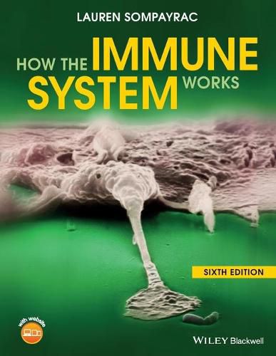 Cover image for How the Immune System Works, Sixth Edition