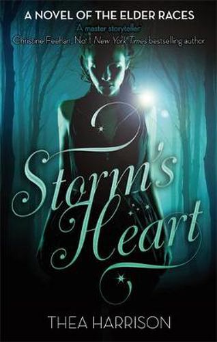 Cover image for Storm's Heart: Number 2 in series