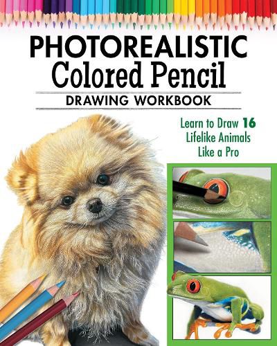 Cover image for Photorealistic Colored Pencil Drawing Workbook (Book 2)