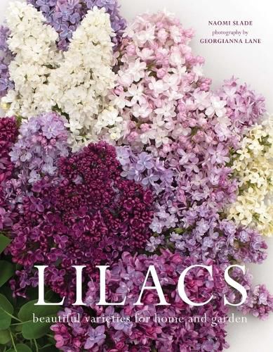 Cover image for Lilacs: Beautiful Varieties for Home and Garden