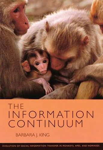 Cover image for The Information Continuum: Evolution of Social Information Transfer in Monkeys, Apes, and Hominids