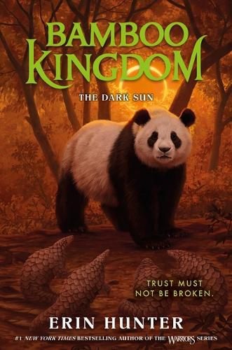 Cover image for Bamboo Kingdom #4: The Dark Sun