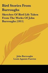 Cover image for Bird Stories from Burroughs: Sketches of Bird Life Taken from the Works of John Burroughs (1911)