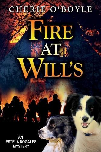 Cover image for Fire at Will's