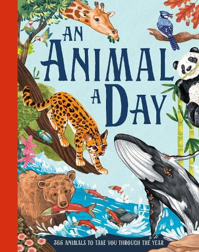 Cover image for An Animal a Day