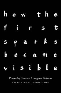 Cover image for how the first sparks became visible