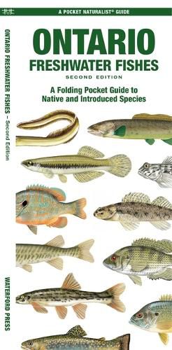 Cover image for Ontario Freshwater Fishes, 2nd Ed