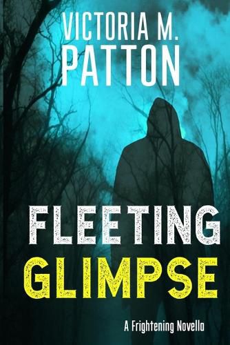 Cover image for Fleeting Glimpse