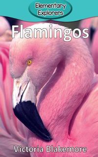 Cover image for Flamingos