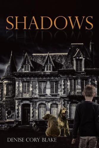 Cover image for Shadows