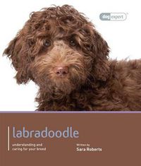 Cover image for Labradoodle - Dog Expert