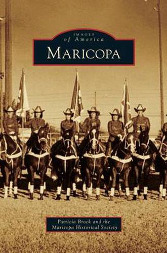 Cover image for Maricopa