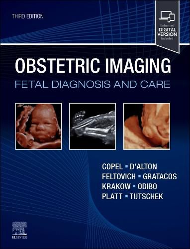 Cover image for Obstetric Imaging: Fetal Diagnosis and Care