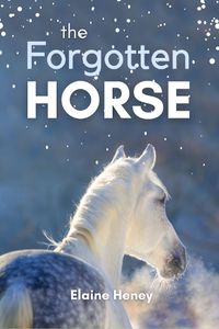 Cover image for The Forgotten Horse: Book 1 in the Connemara Horse Adventure Series for Kids. The perfect gift for children age 8-12.