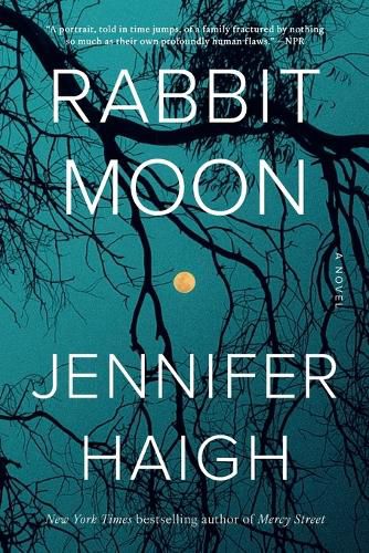 Cover image for Rabbit Moon