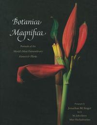 Cover image for Botanica Magnifica