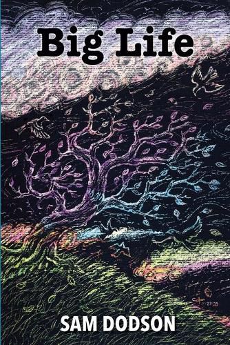 Cover image for Big Life