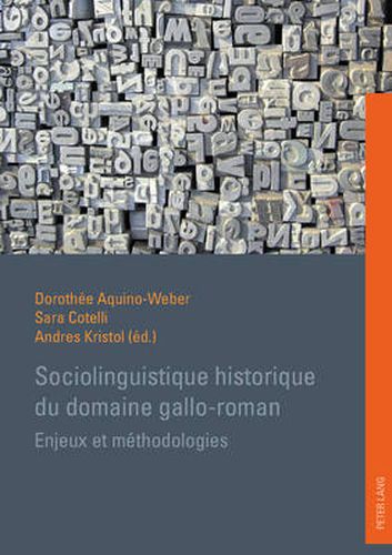 Cover image for Sociolinguistique Historique Du Domaine Gallo-Roman: Enjeux Et Methodologies