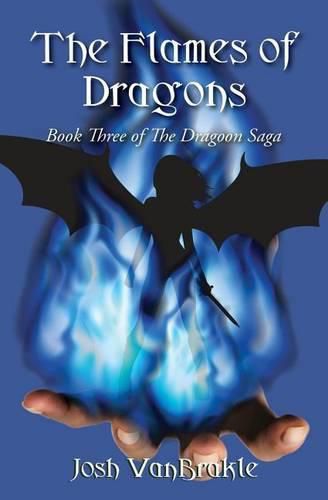 Cover image for The Flames of Dragons