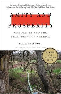 Cover image for Amity and Prosperity: One Family and the Fracturing of America - Winner of the Pulitzer Prize for Non-Fiction 2019