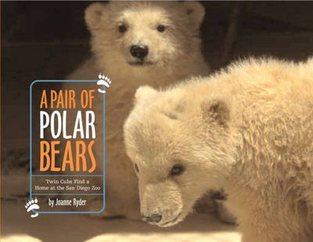 Cover image for A Pair Of Polar Bears: Twin Cubs Find a Home at the San Diego Zoo