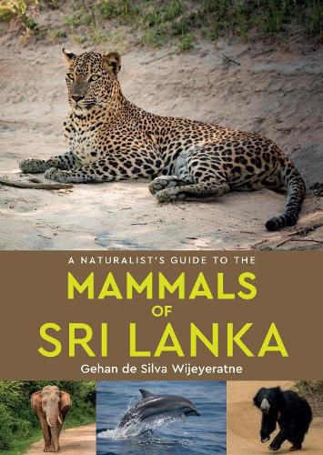 Cover image for A Naturalist's Guide to the Mammals of Sri Lanka