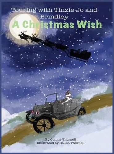 Cover image for A Christmas Wish