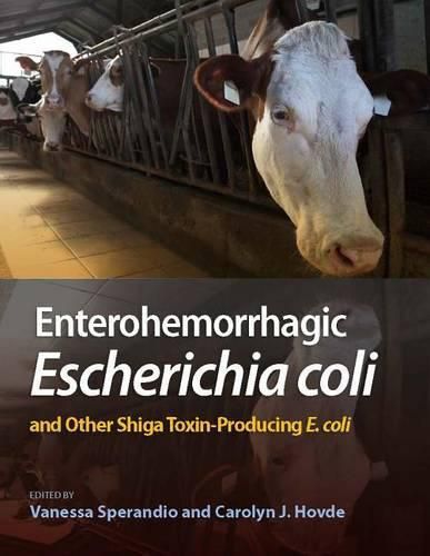 Cover image for Enterohemorrhagic Escherichia Coli and Other Shiga Toxin-Producing E. Coli