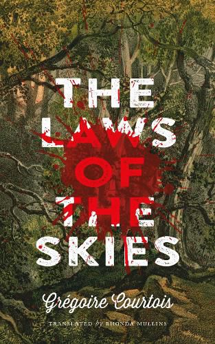 Cover image for The Laws of the Skies