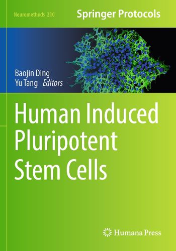 Cover image for Human Induced Pluripotent Stem Cells