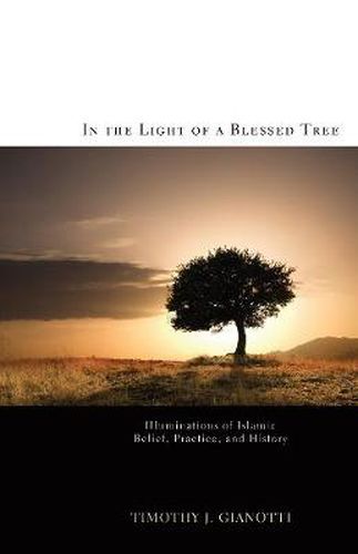 Cover image for In the Light of a Blessed Tree: Illuminations of Islamic Belief, Practice, and History