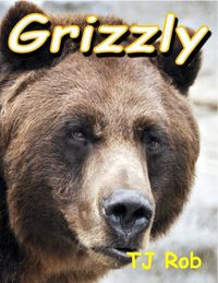 Cover image for Grizzly: (Age 6 and Above)