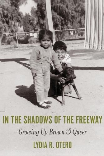 Cover image for In the Shadows of the Freeway