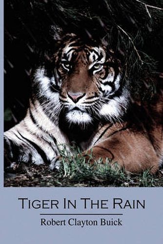 Cover image for Tiger in the Rain