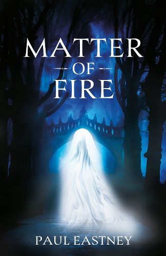 Cover image for Matter of Fire