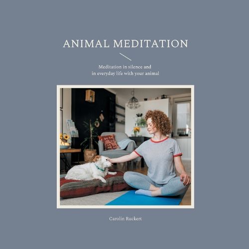 Cover image for Animal meditation