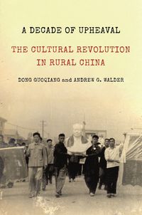 Cover image for A Decade of Upheaval: The Cultural Revolution in Rural China