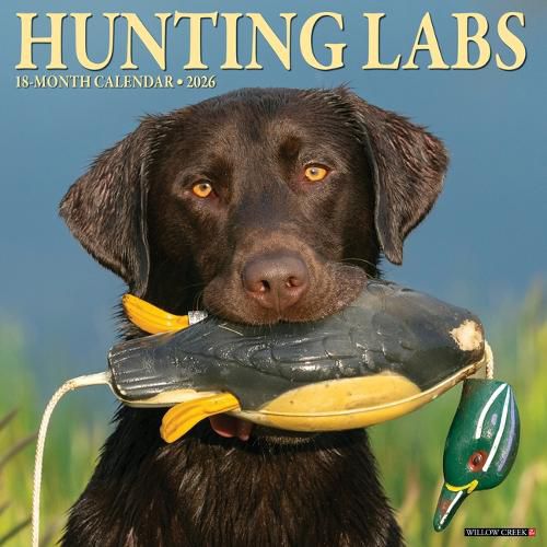 Cover image for Hunting Labs 2026 12 X 12 Wall Calendar