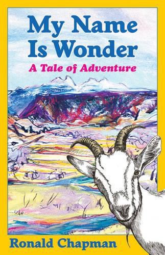 Cover image for My Name is Wonder: A Tale of Adventure