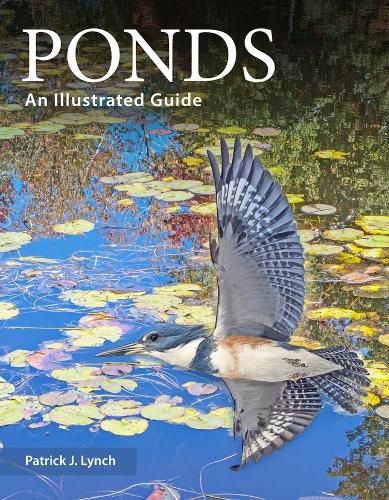 Cover image for Ponds
