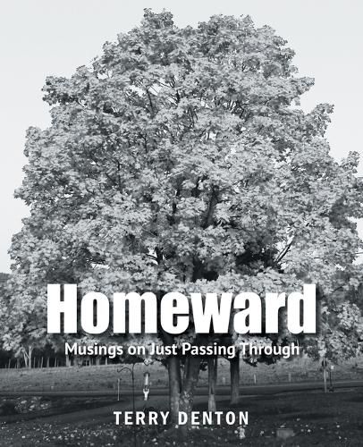Cover image for Homeward