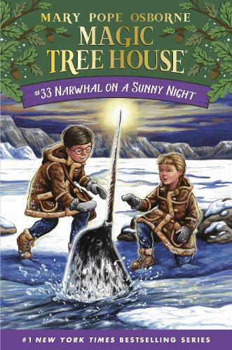 Cover image for Narwhal on a Sunny Night
