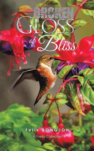 Cover image for Broken Gloss of Bliss