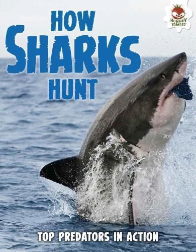 Cover image for Shark! How Sharks Hunt