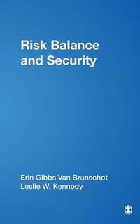 Cover image for Risk Balance and Security