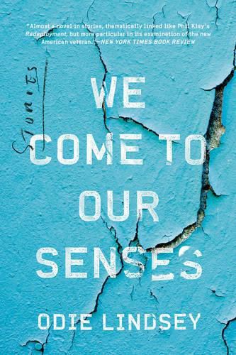 Cover image for We Come to Our Senses: Stories