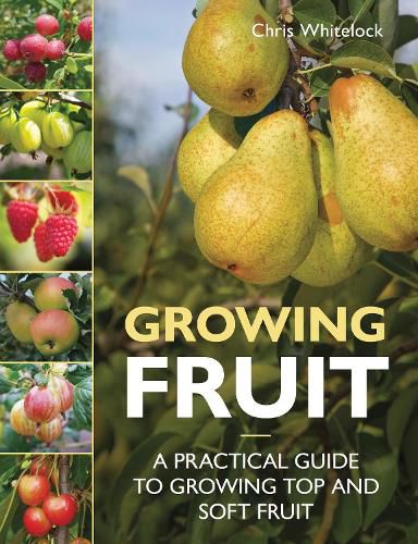 Cover image for Growing Fruit