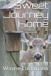 Cover image for Sweet Journey Home