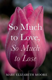 Cover image for So Much to Love, So Much to Lose