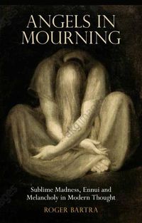 Cover image for Angels in Mourning: Sublime Madness, Ennui and Melancholy in Modern Thought